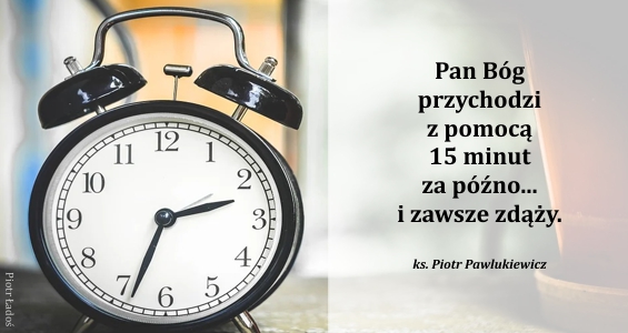 rozne-pl-01