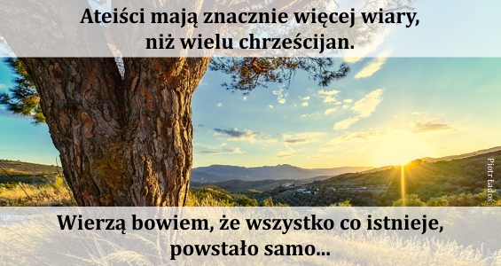 rozne-pl-03
