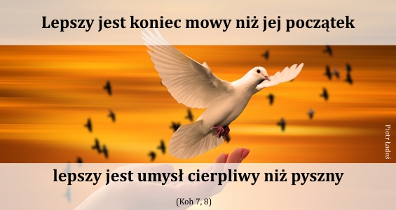 rozne-pl-32