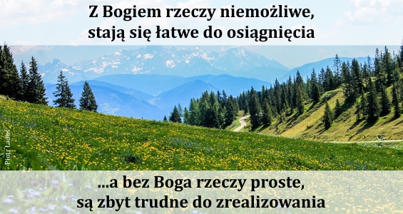 rozne-pl-72